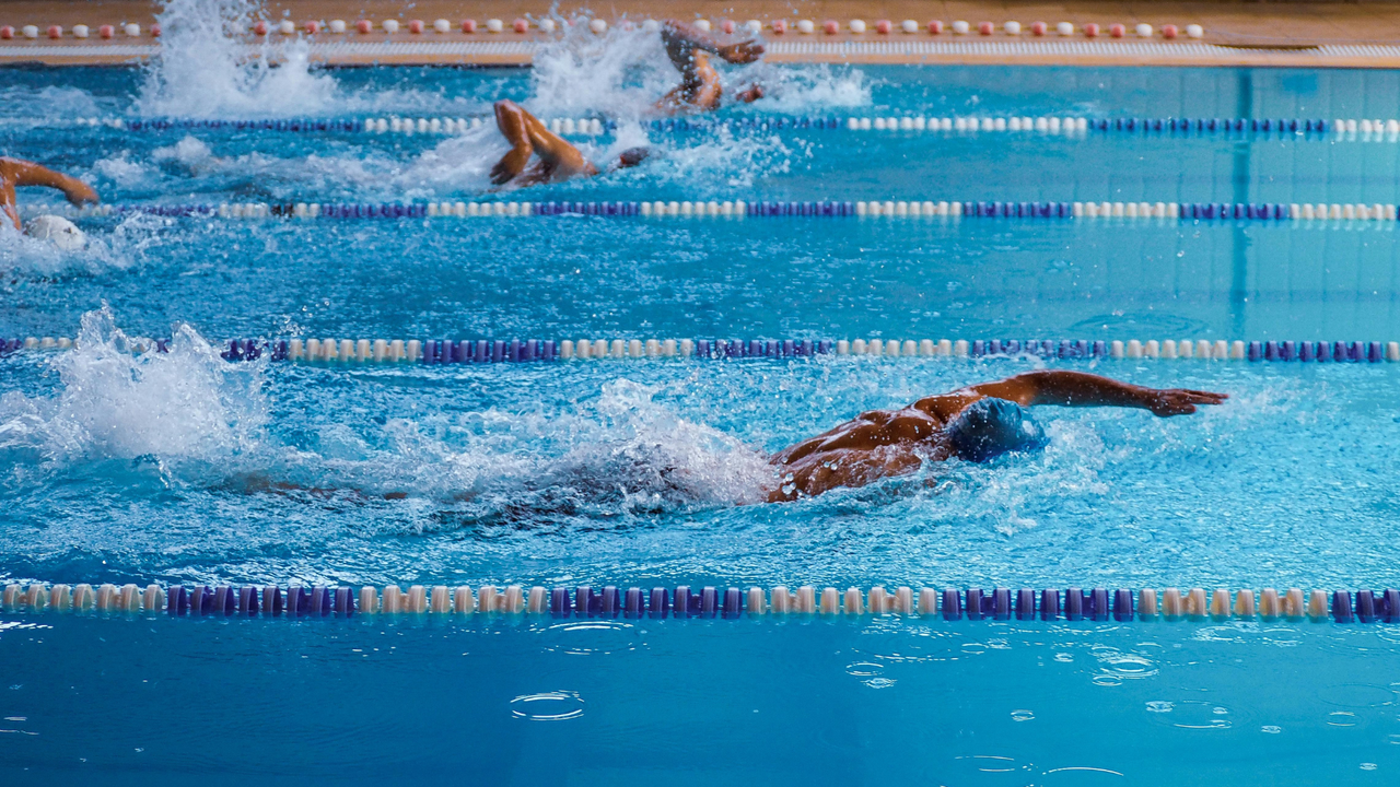 Zwei Schwimmer im Kraulstil in einem Schwimmbecken.