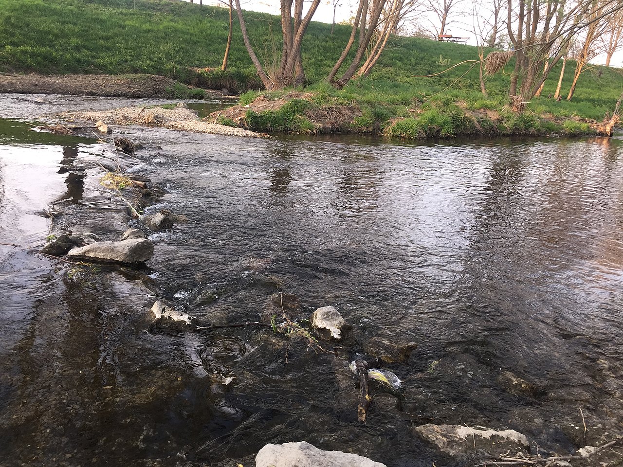 Liesingbach Liesingbach