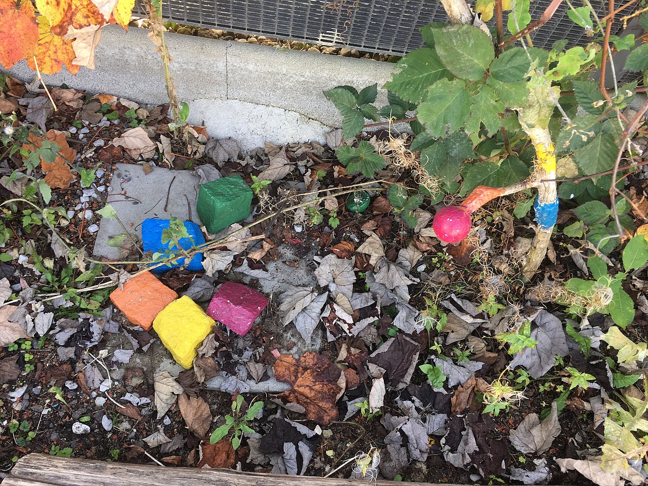 bunte Steine im Frühbeet