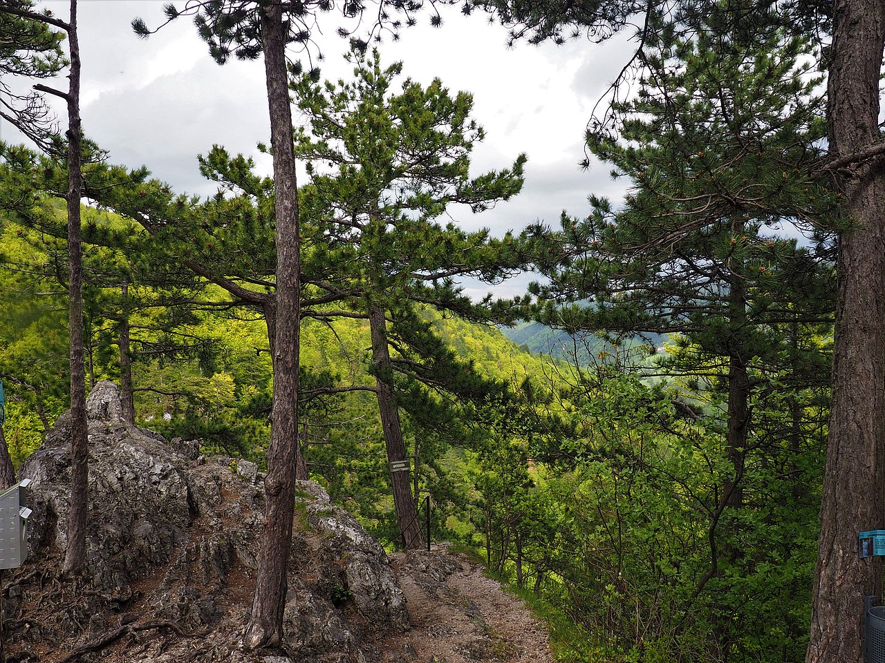 Ausblick Rudolf Decker Steig