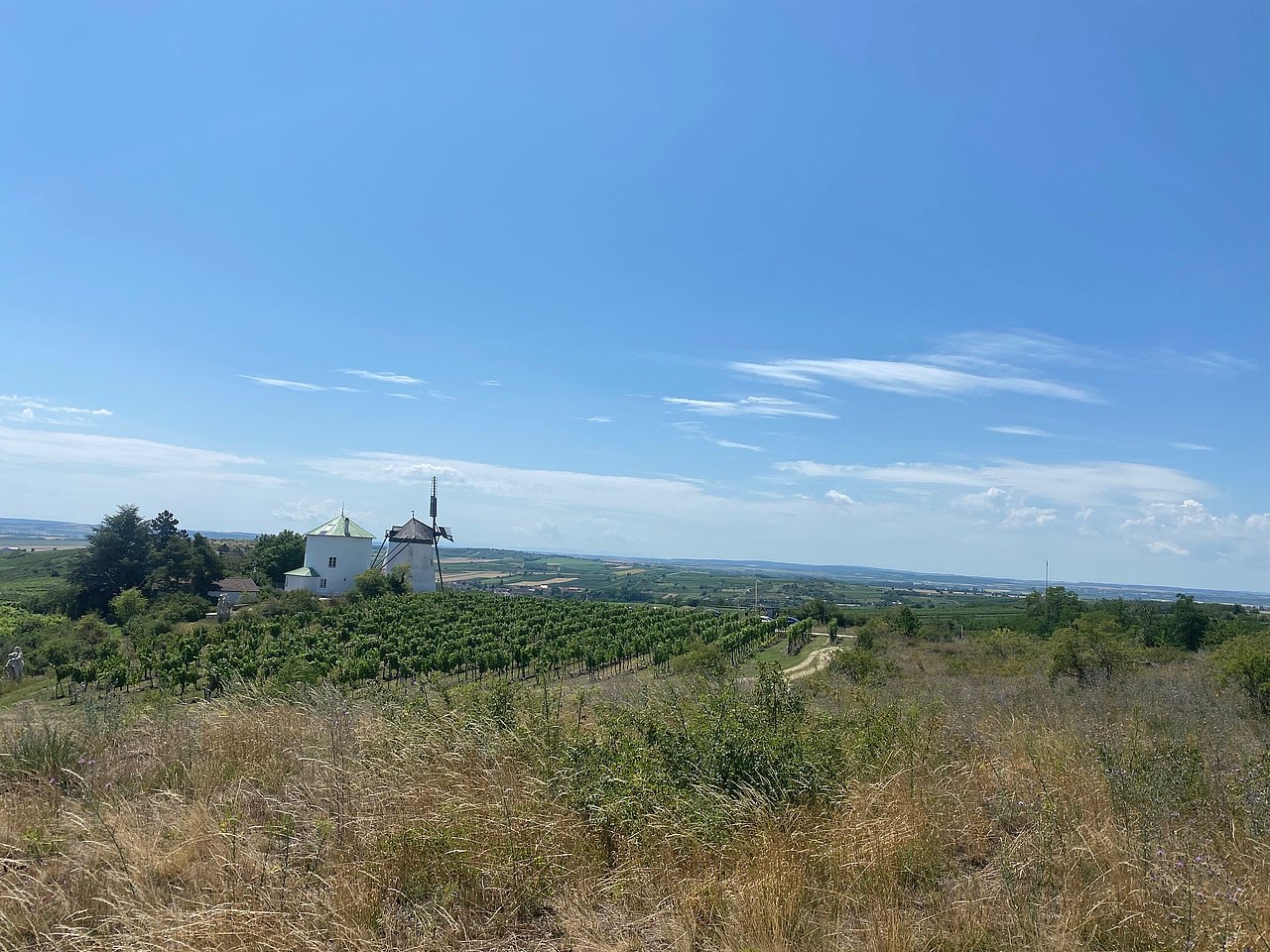 Ausblick mit blauem Himmel