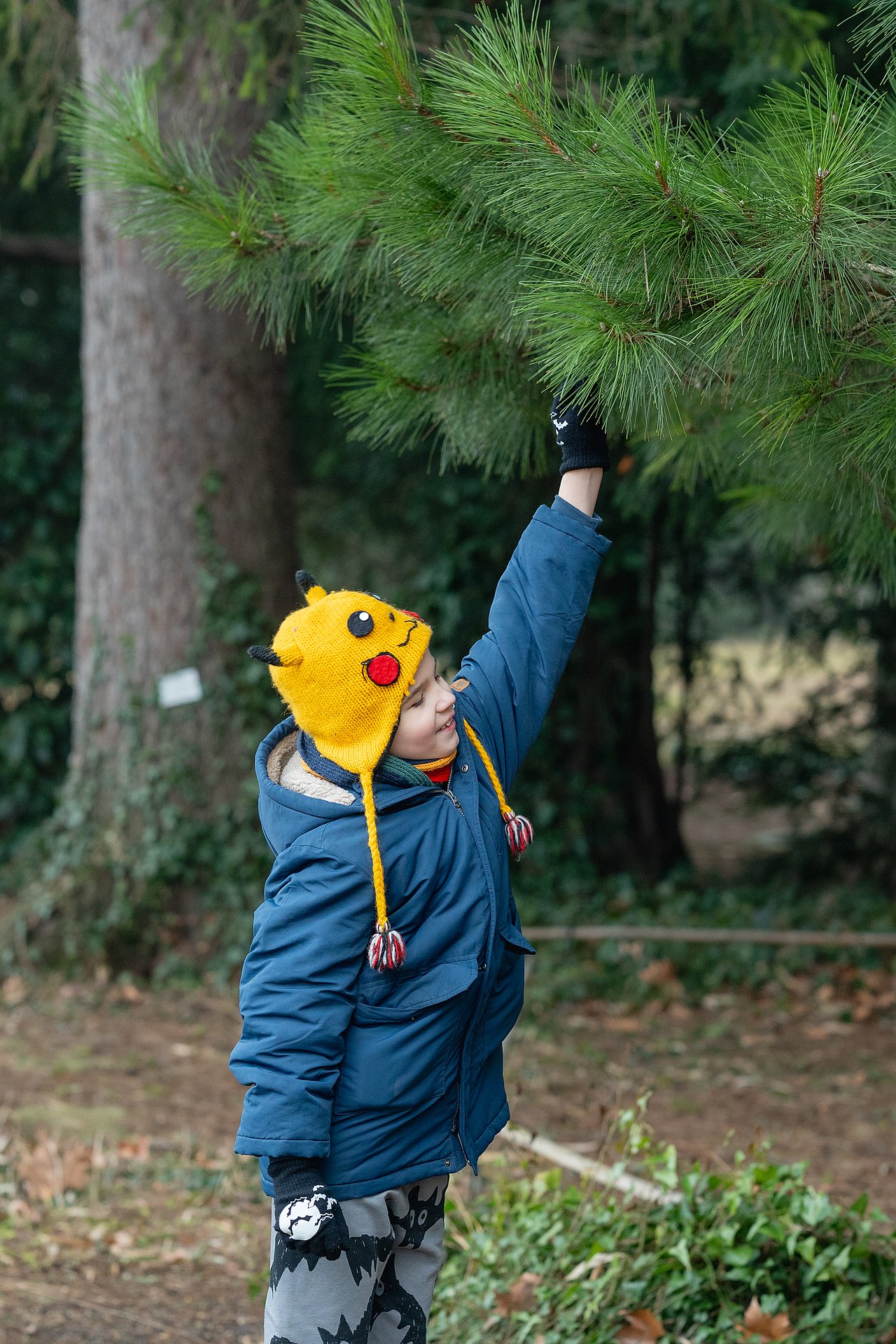 KA_c_Kajetan_Koren_05022026_014