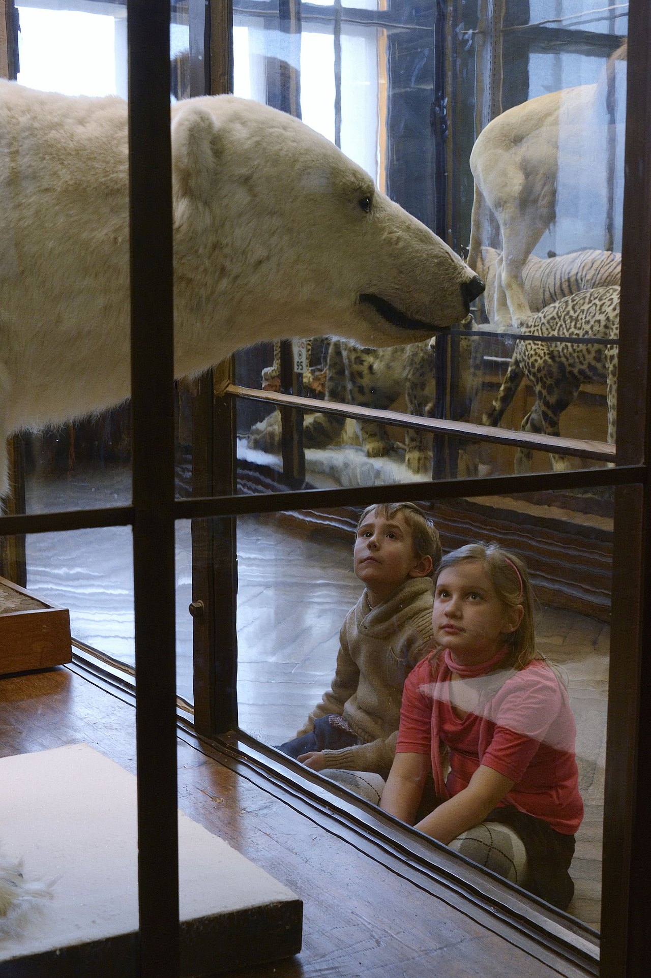 Polarbär Zwei Kinder die durch eine Glasscheibe einen ausgestopften Eisbären betrachten.