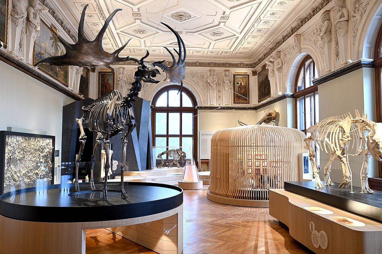 Raumfoto von der Dauerausstellung Eiszeitkinder