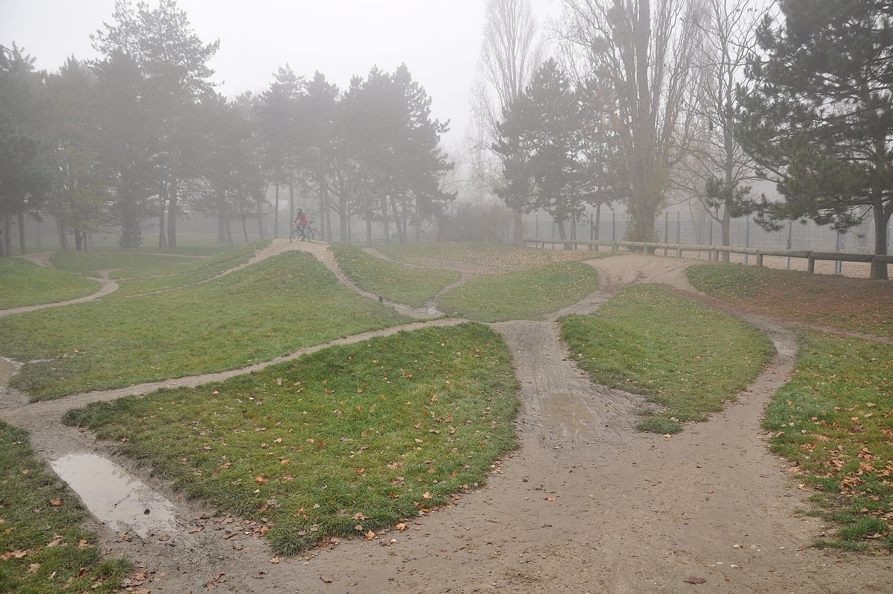 BMX Bahn mit Hügeln und Wiese